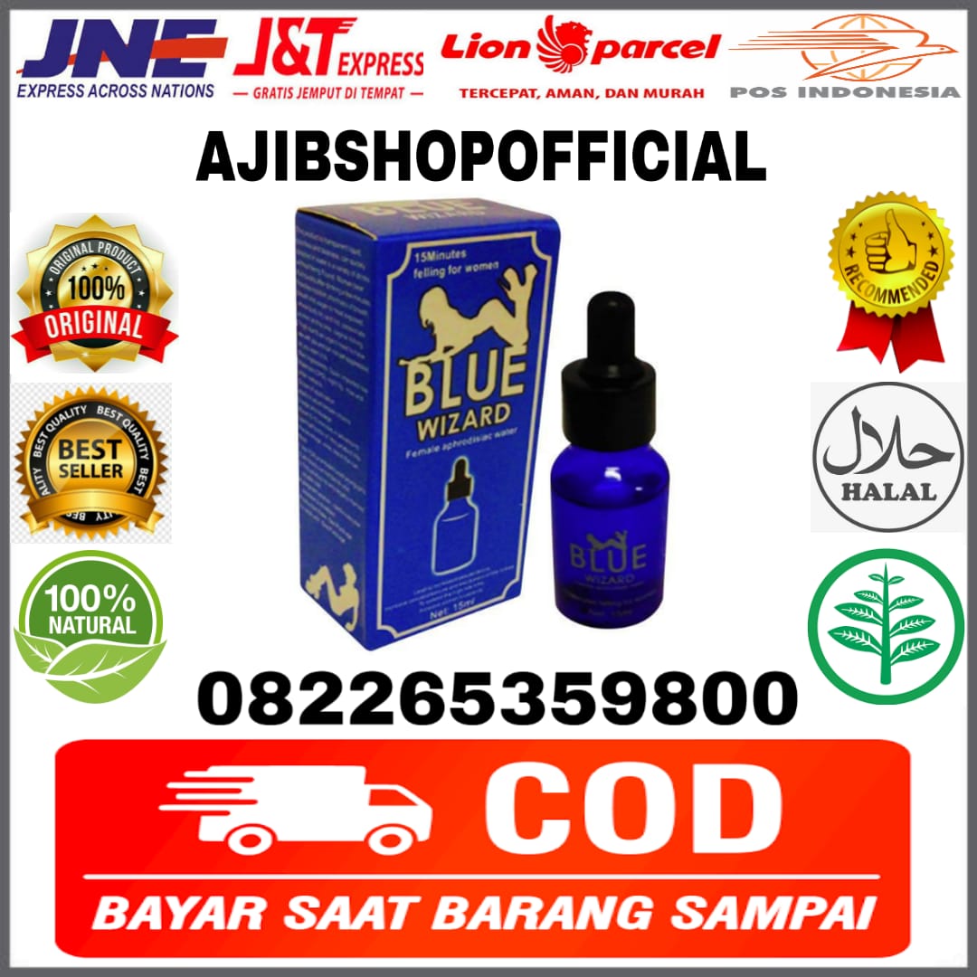 Blue Wizard Di Ternate