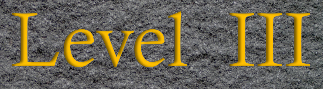 Level III Logo