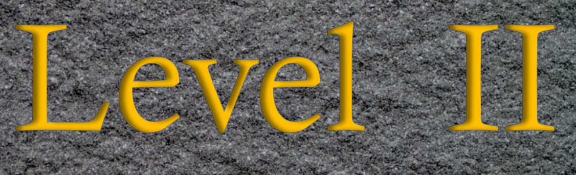Level II Logo